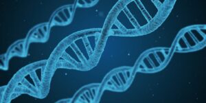 DNA Epigenetics